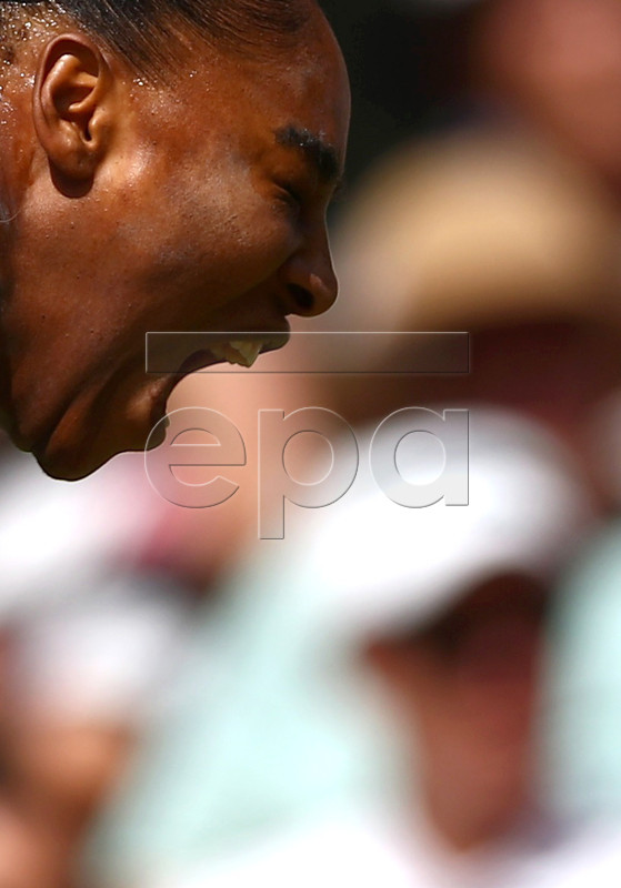 Serena Williams of the USA in action against Barbora Strycova of the Czech Republic during their semi final match for the Wimbledon Championships at the All England Lawn Tennis Club, in London, Britain, 11 July 2019. EPA-EFE/HANNAH MCKAY / POOL EDITORIAL USE ONLY/NO COMMERCIAL SALES